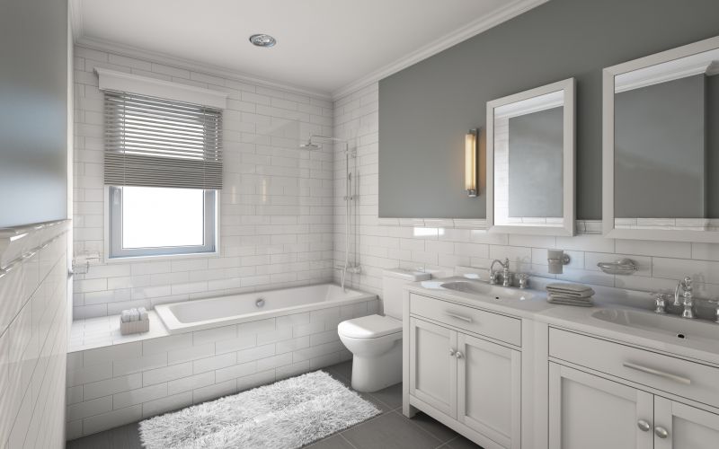 Master Bathroom Renovation